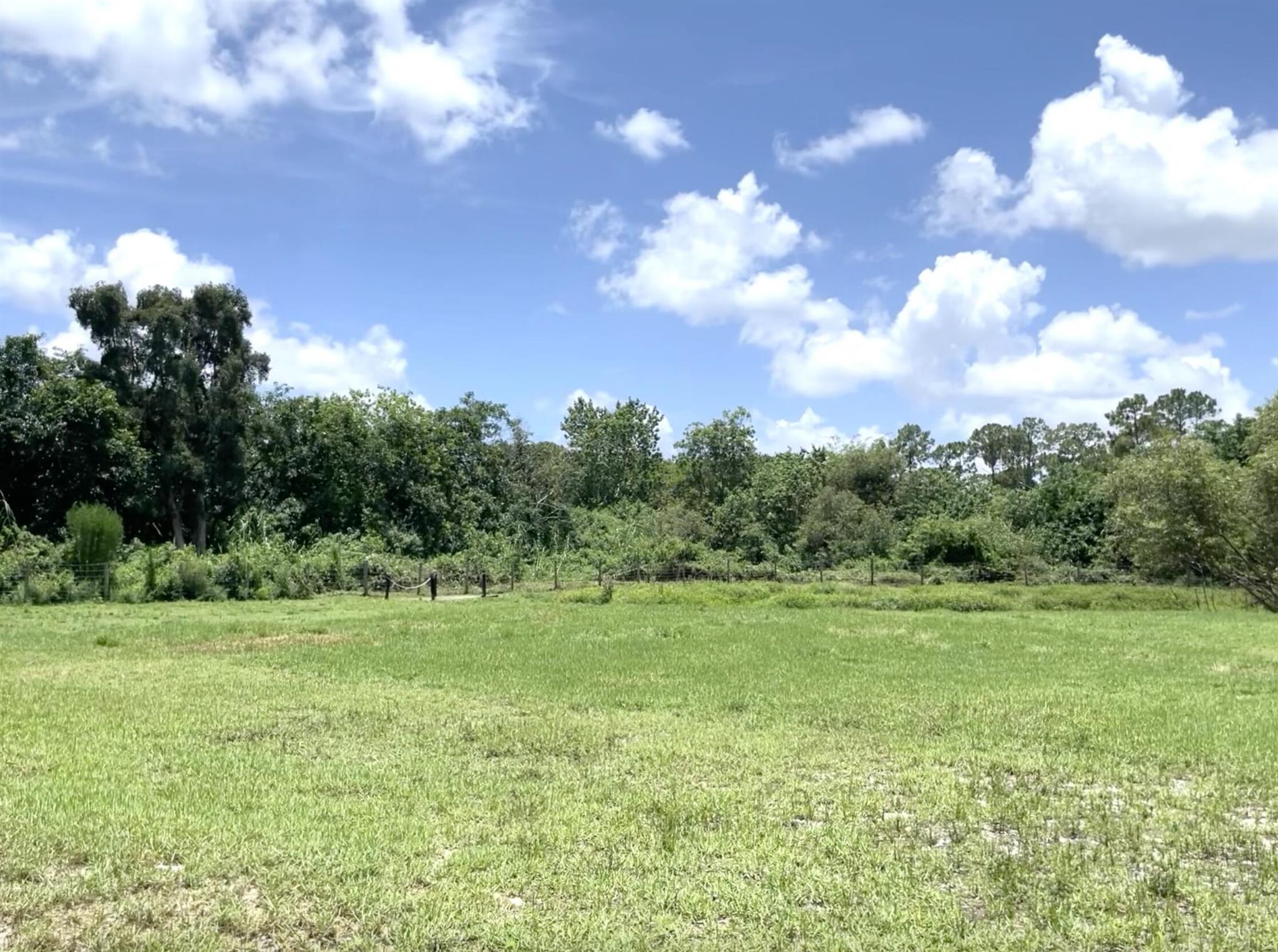 12398 Tangerine Boulevard