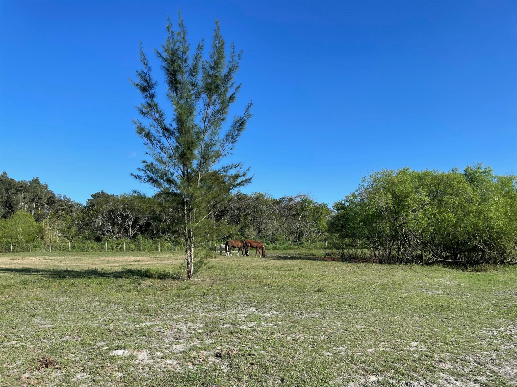 12398 Tangerine Boulevard