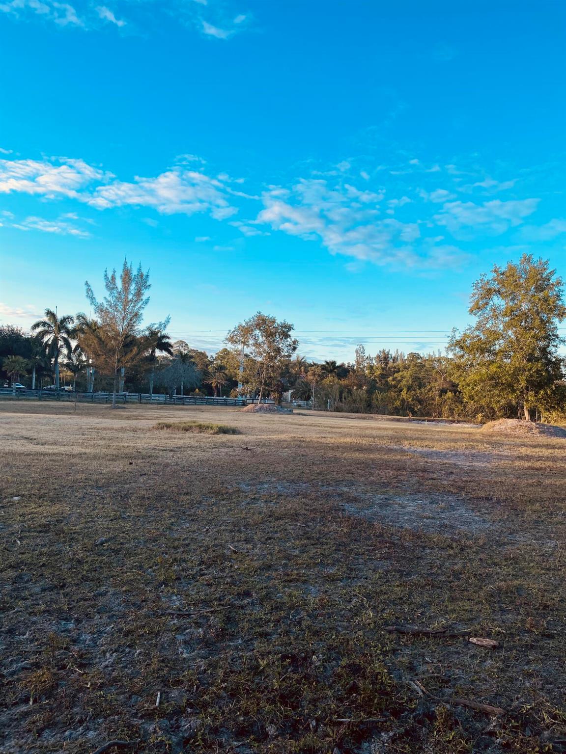 12398 Tangerine Boulevard