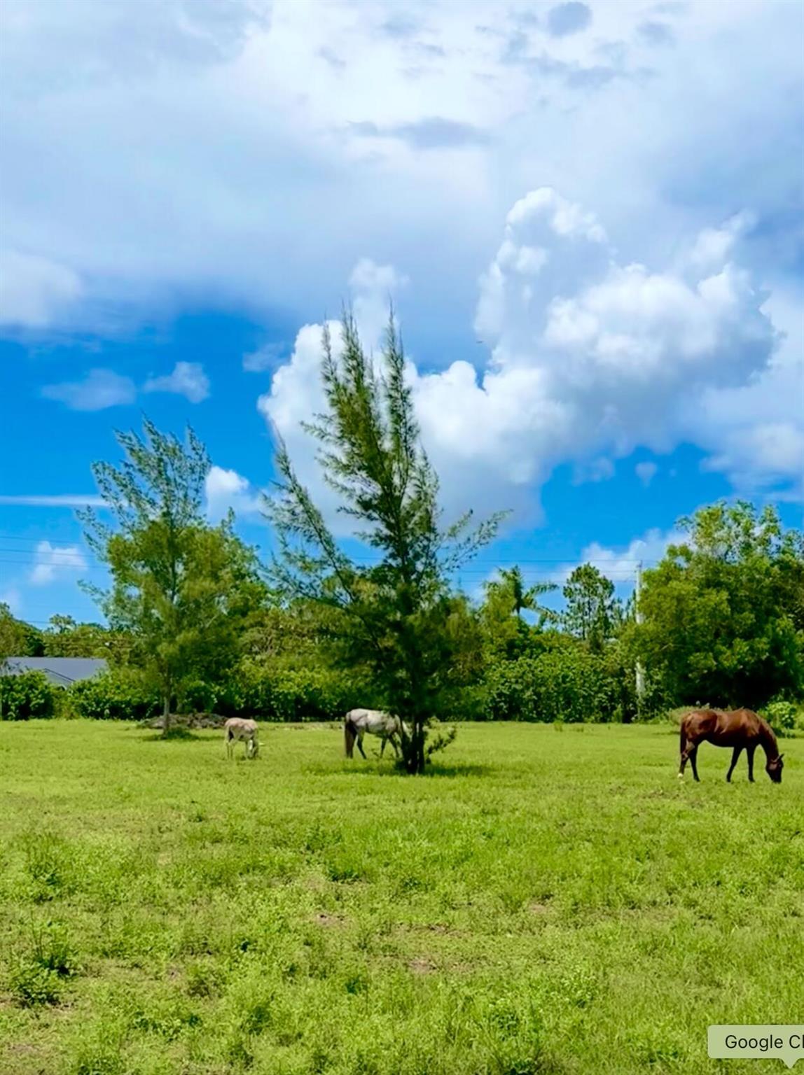 12398 Tangerine Boulevard