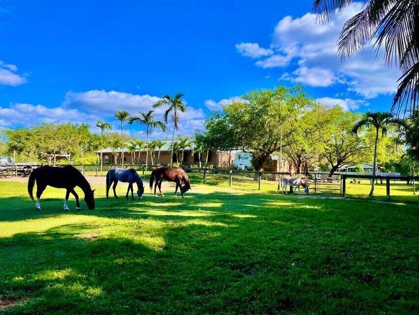 12440 Tangerine Boulevard