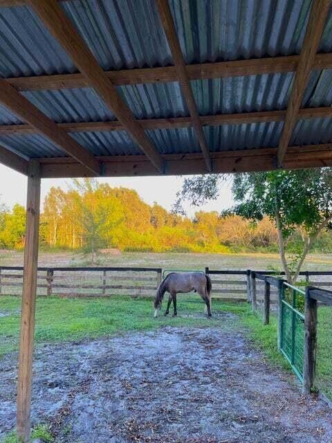 12440 Tangerine Boulevard