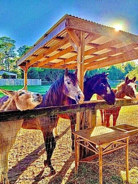 12440 Tangerine Boulevard