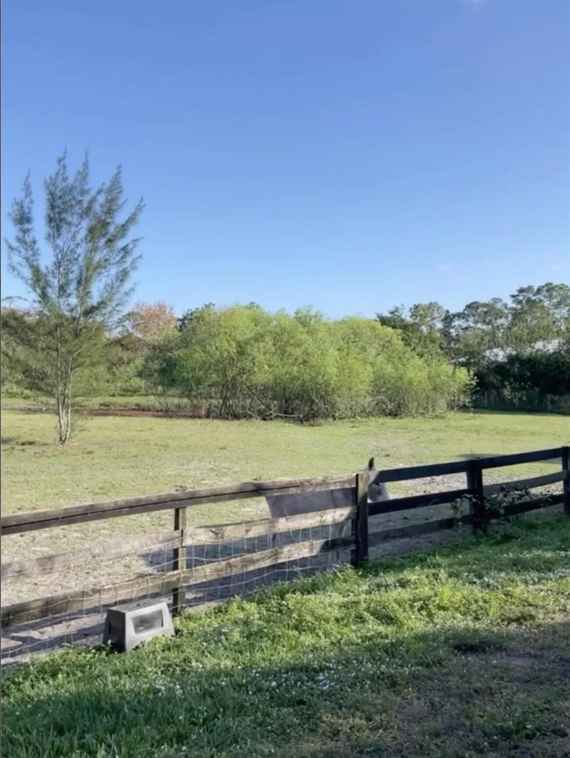 12440 Tangerine Boulevard