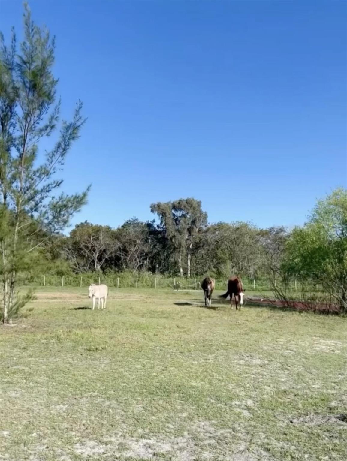 12440 Tangerine Boulevard