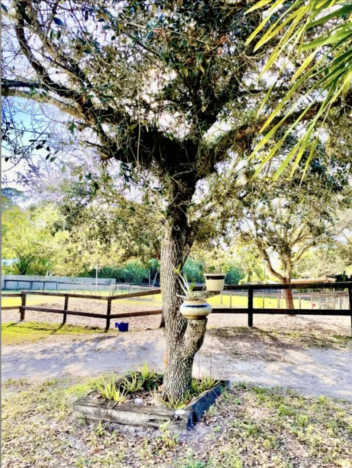 12440 Tangerine Boulevard