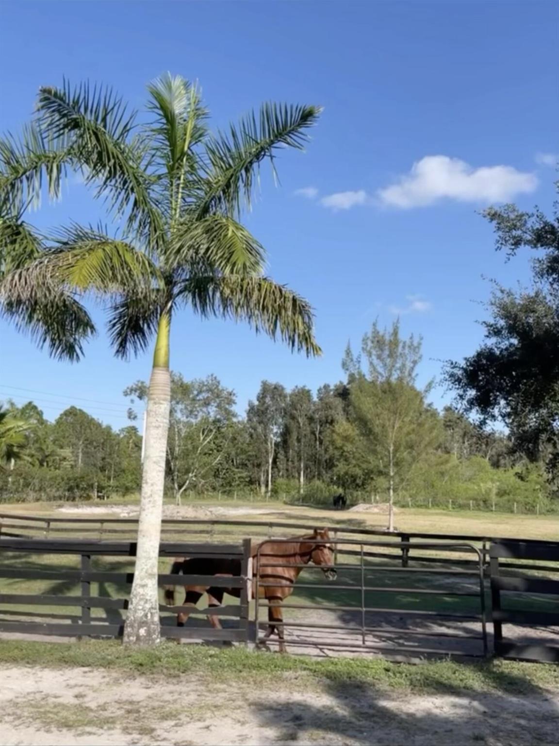 12440 Tangerine Boulevard