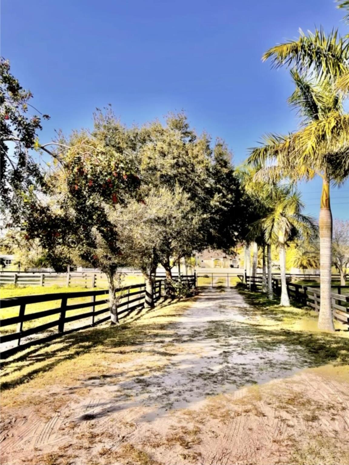 12440 Tangerine Boulevard