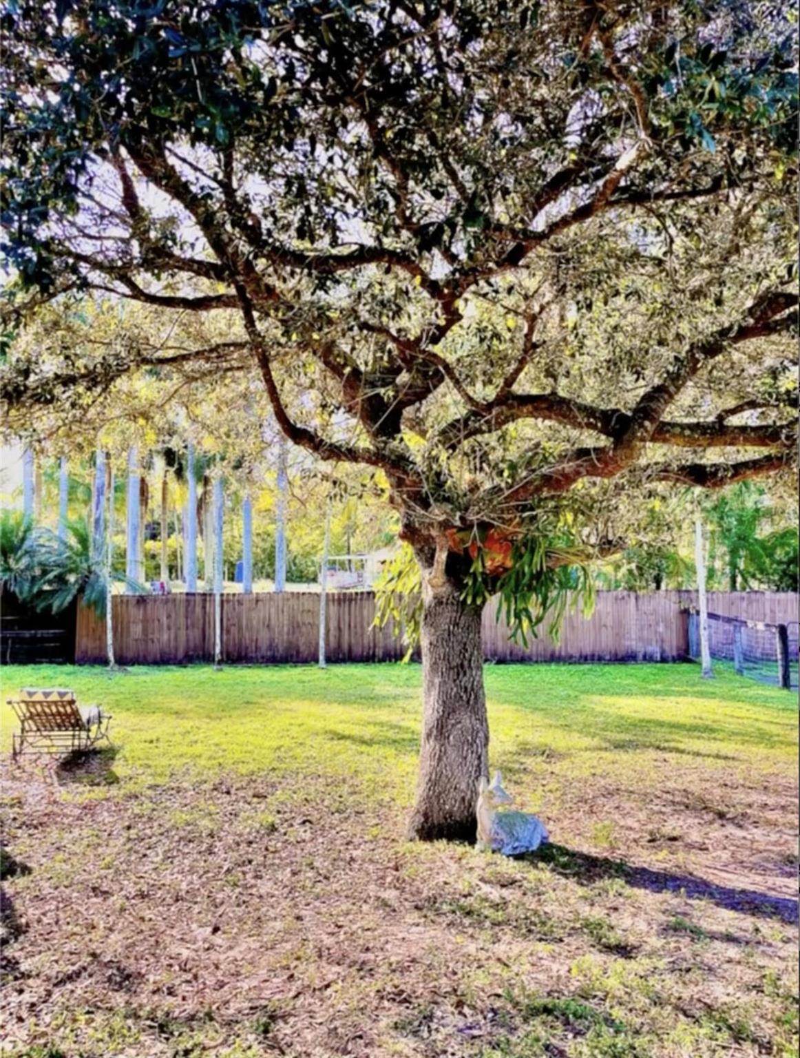 12440 Tangerine Boulevard