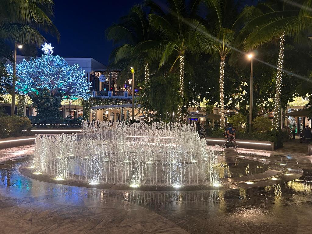 300 S Australian Avenue 1219