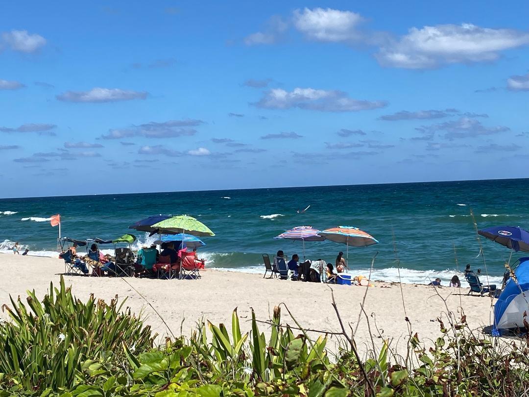 300 S Australian Avenue 1219