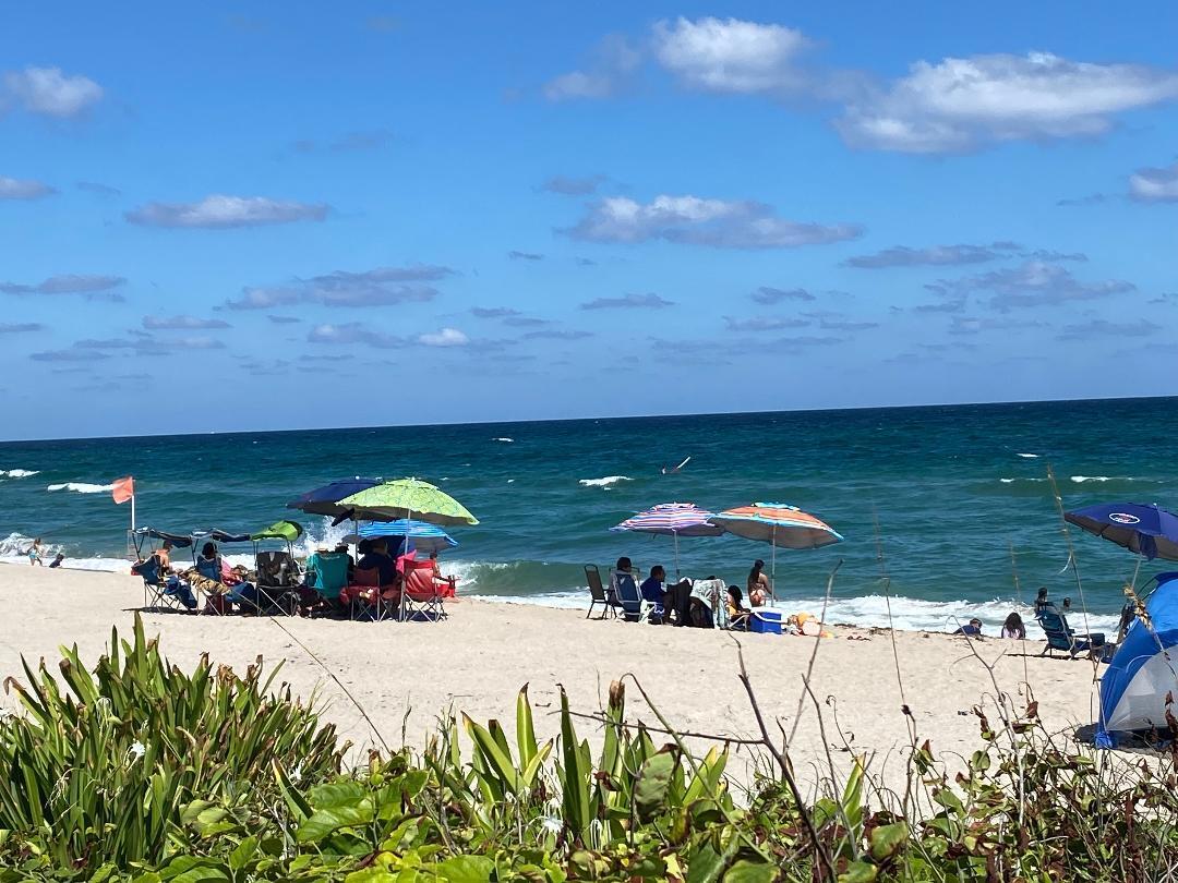 300 S Australian Avenue 1219