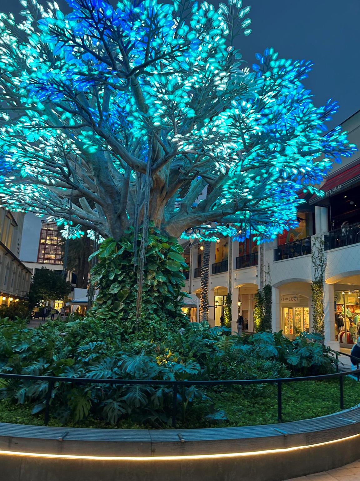 300 S Australian Avenue 1219