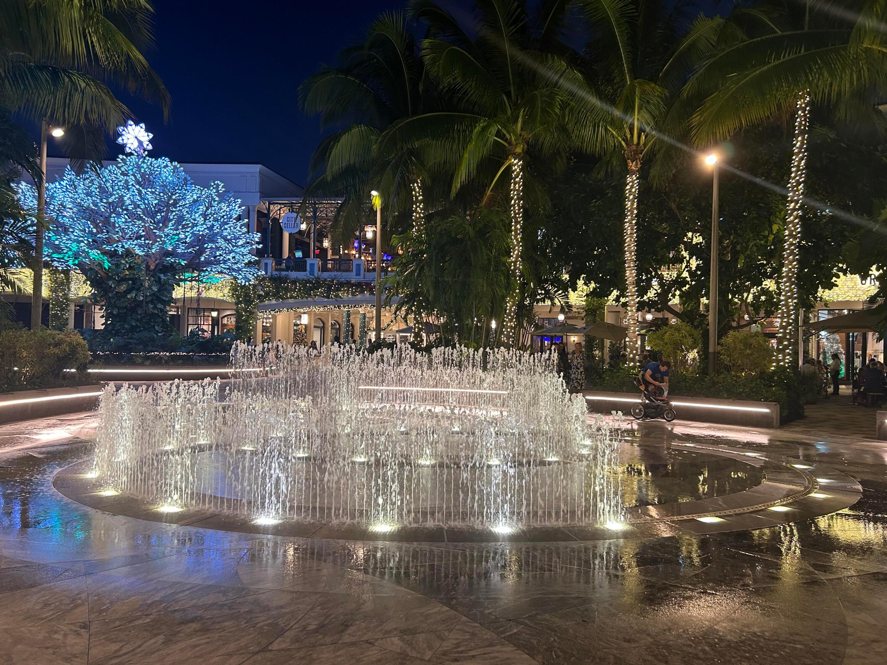 300 S Australian Avenue 1219