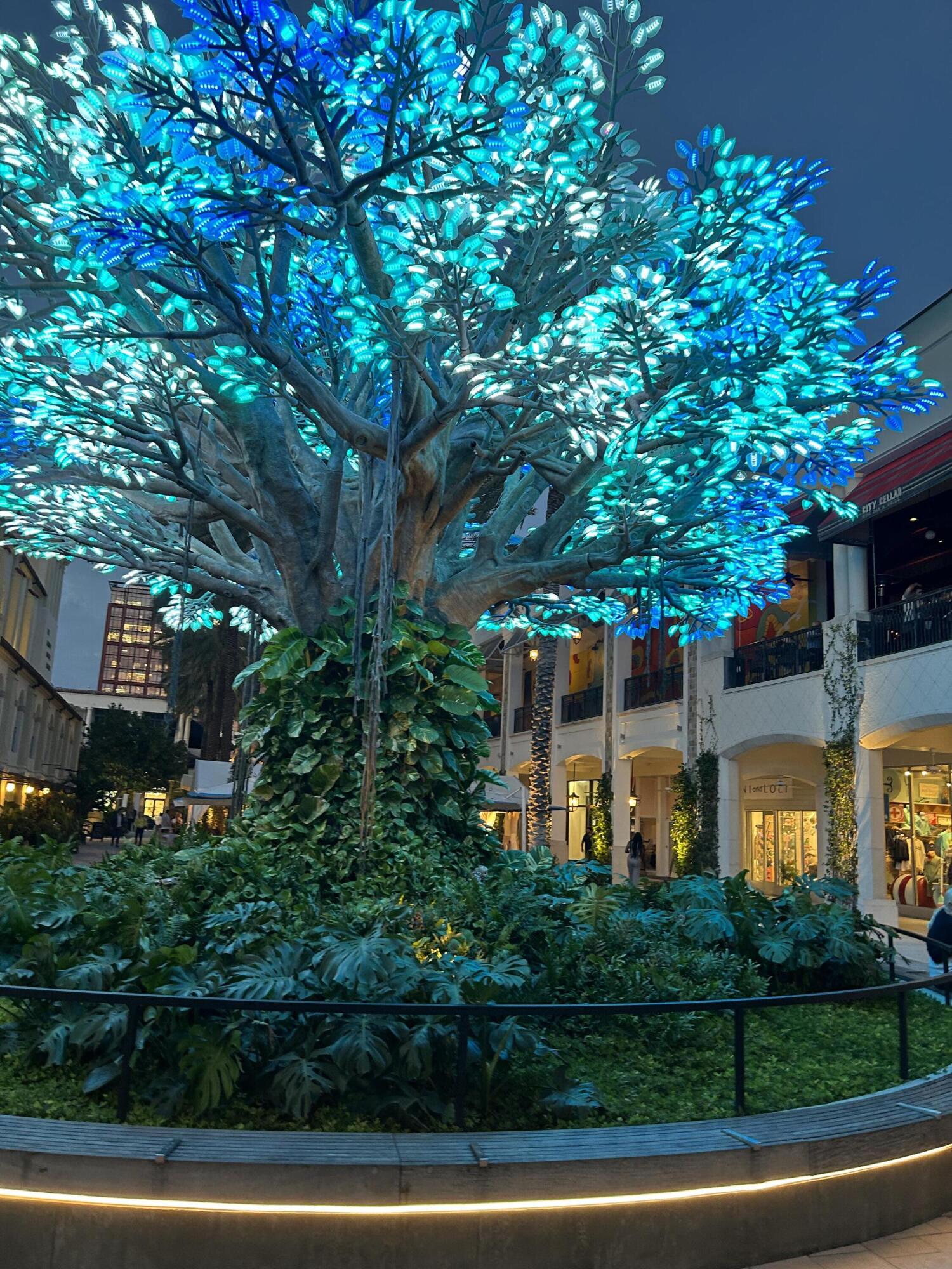 300 S Australian Avenue 1219