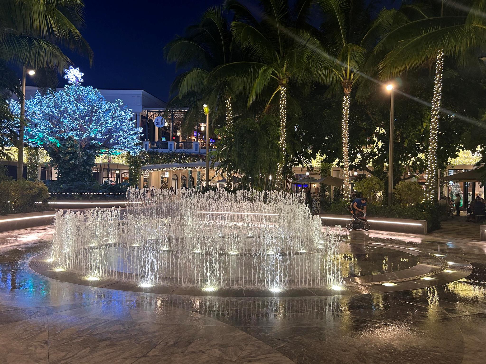 300 S Australian Avenue 1219