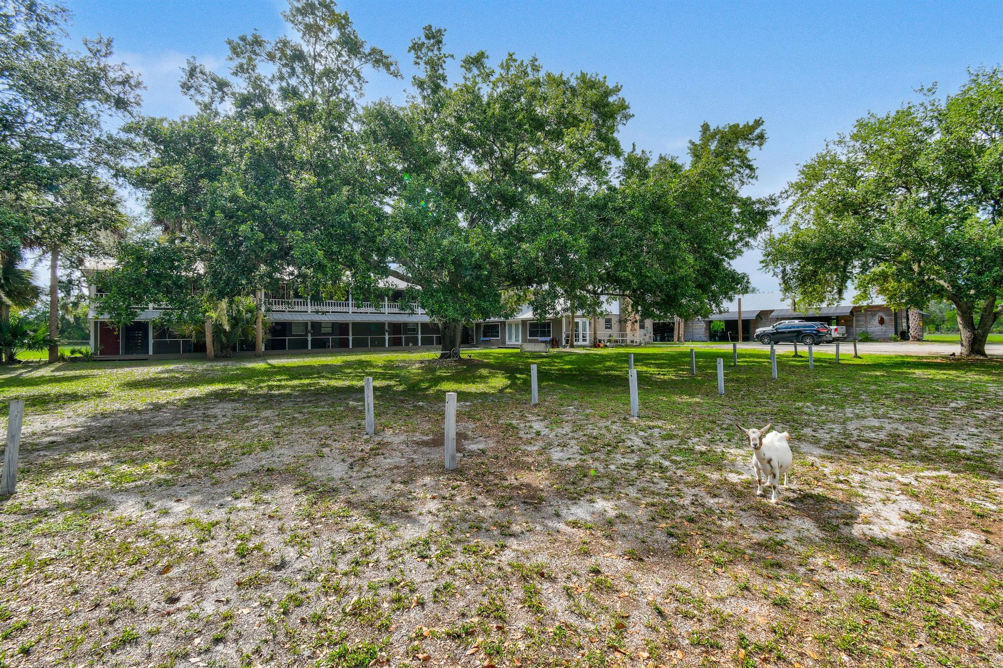 9601 SW Fox Brown Road