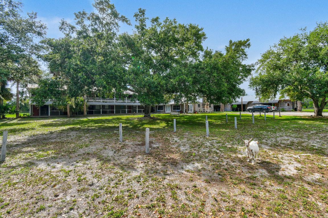 9601 SW Fox Brown Road