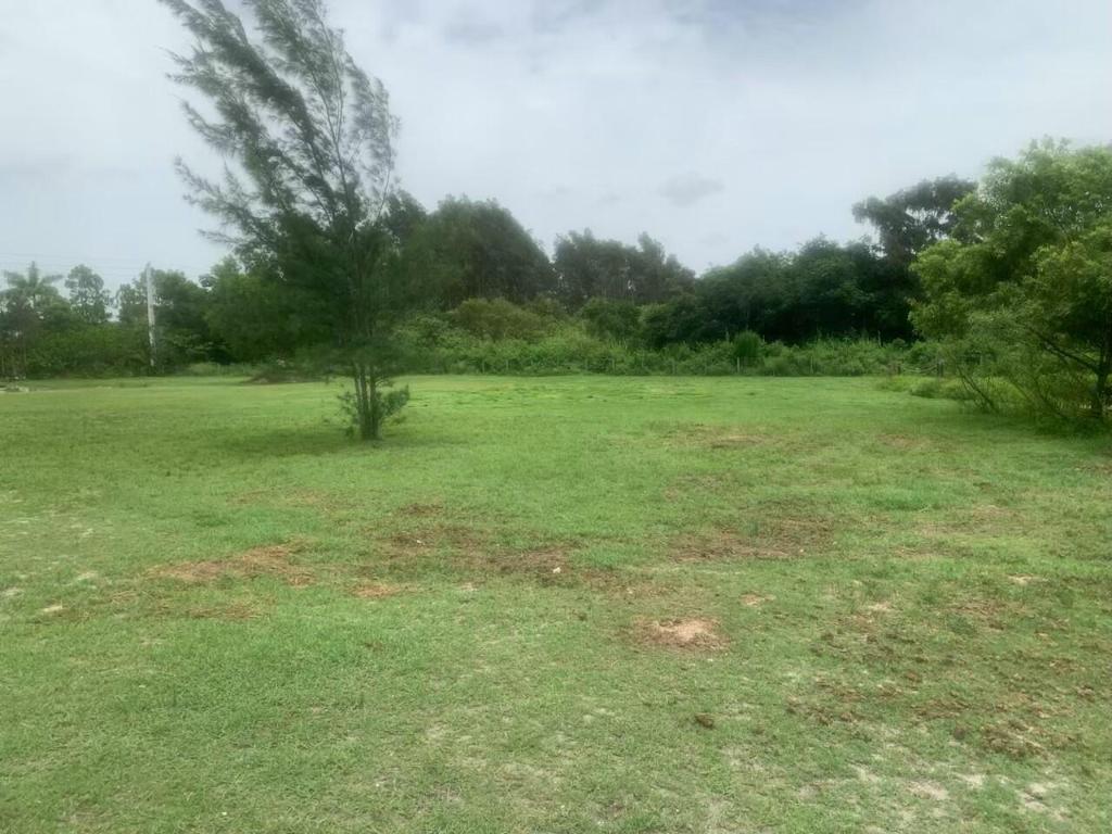 12398 Tangerine Boulevard, West Palm Beach