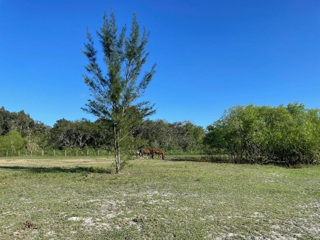 12398 Tangerine Boulevard, West Palm Beach