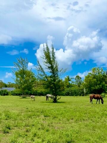 12398 Tangerine Boulevard, West Palm Beach