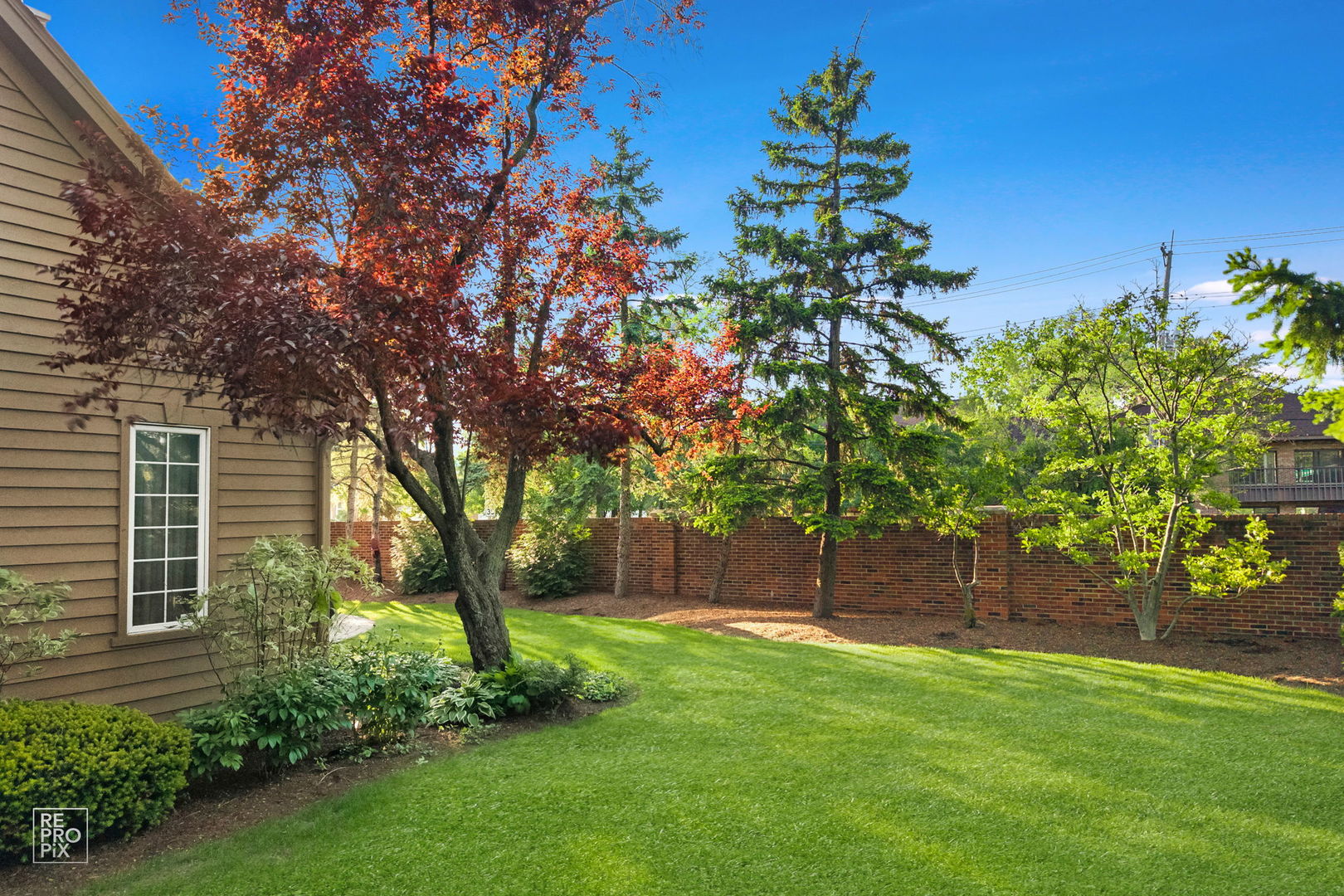 501 Wedgewood Court