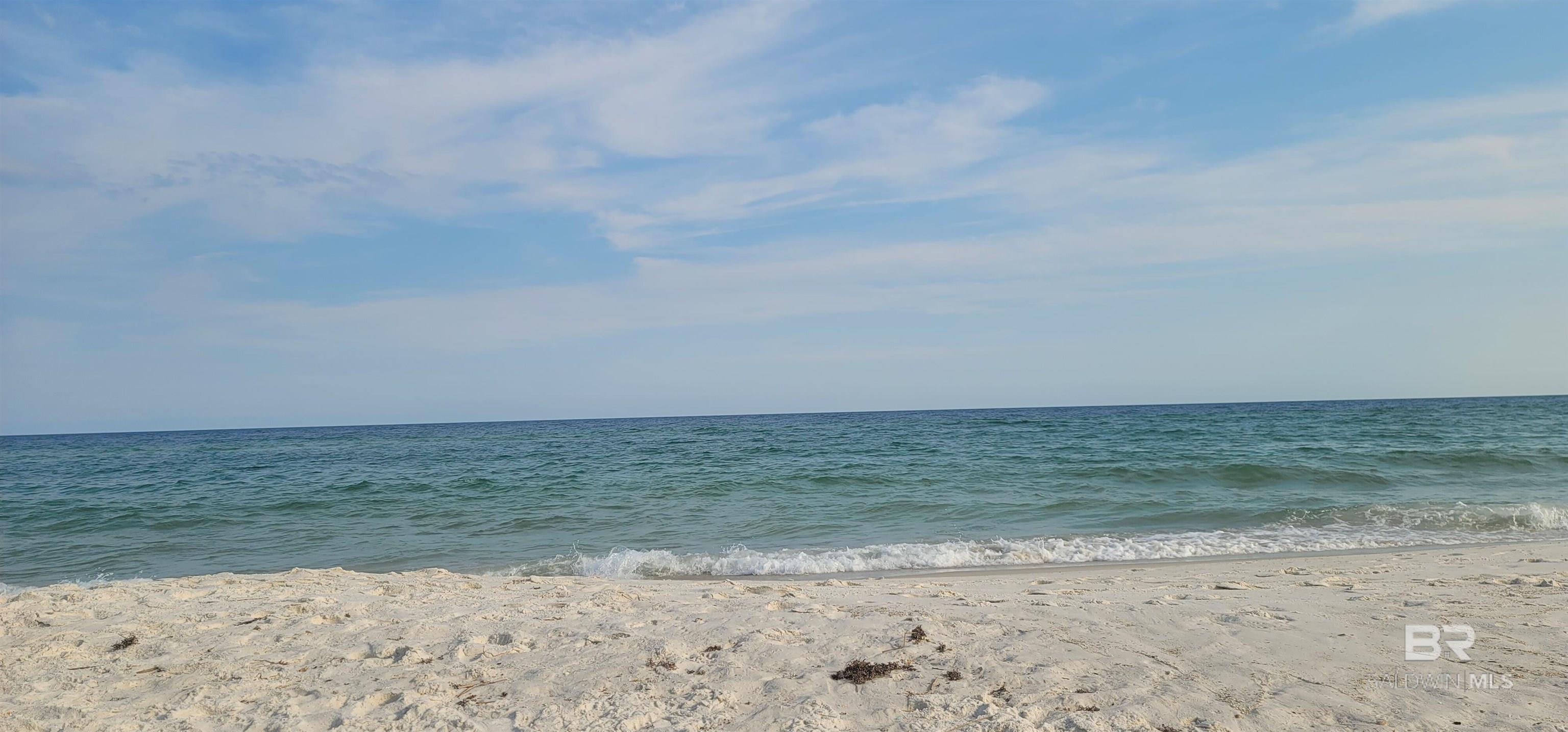 23044 Perdido Beach Boulevard 367
