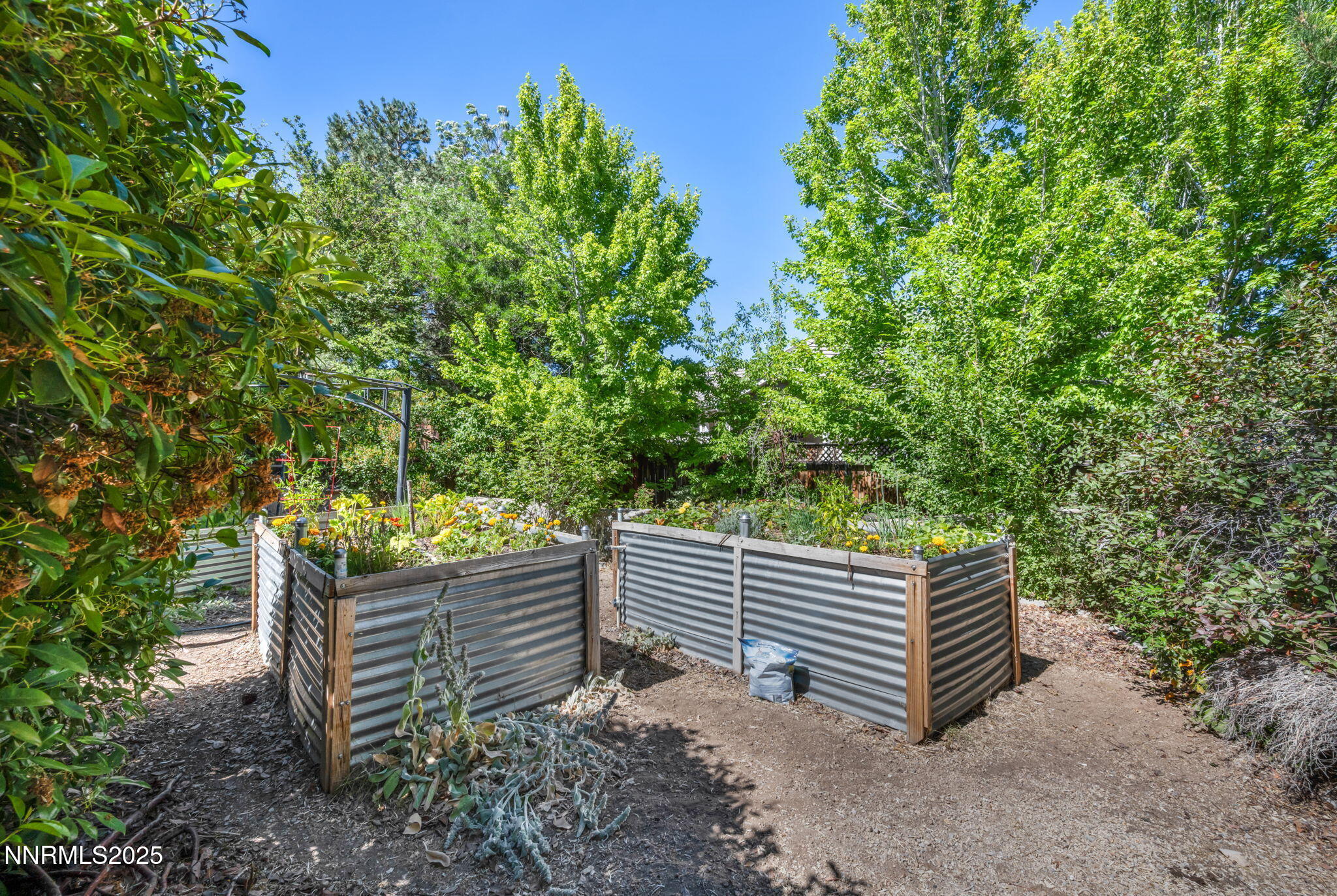 14310 Mt Snow Drive