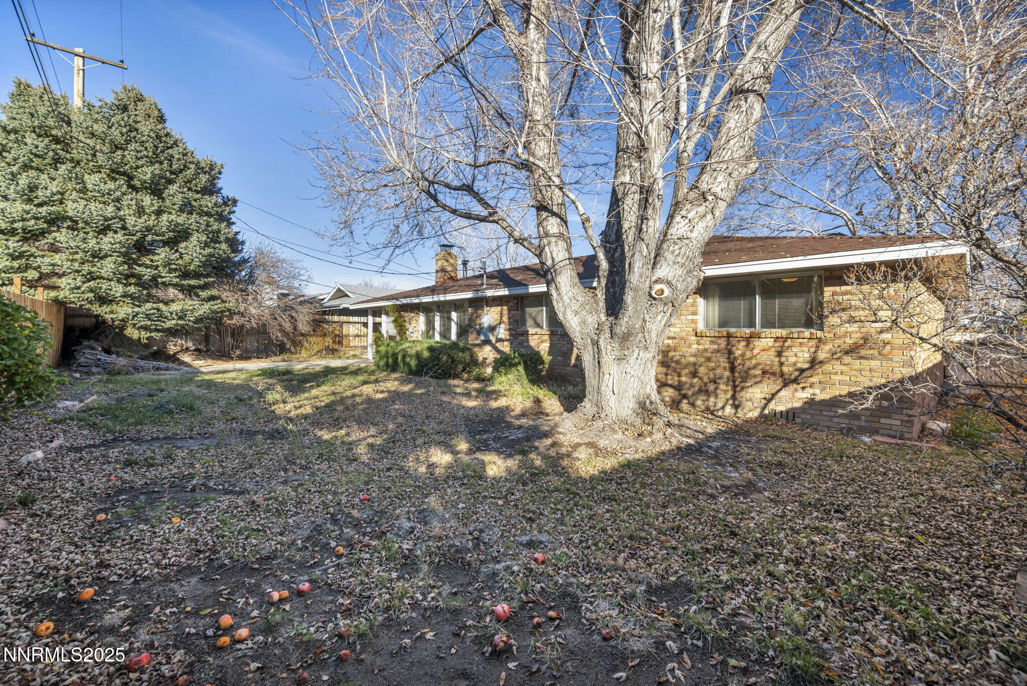 1832 Pyrenees Street