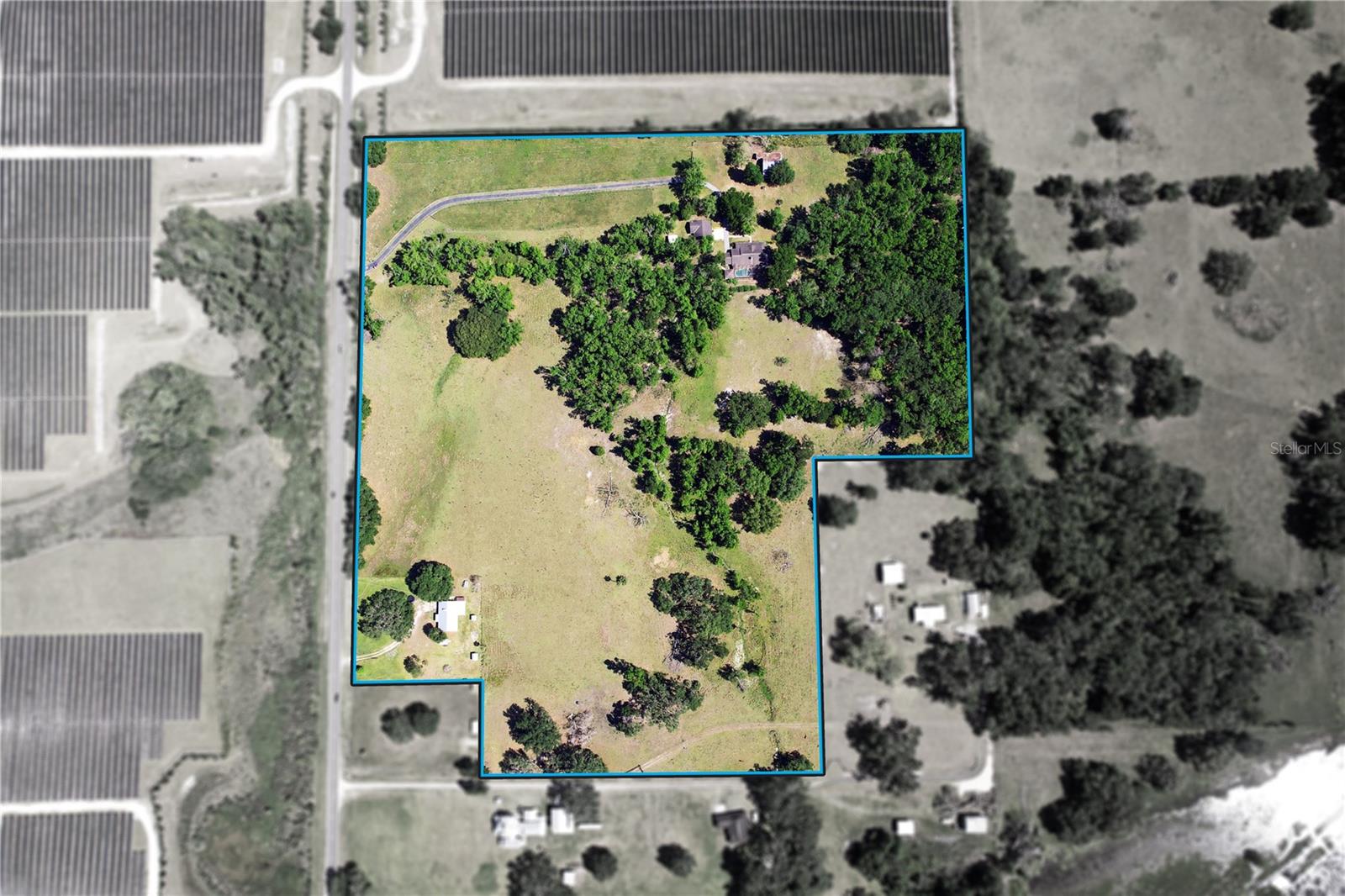 36641 BLANTON RD