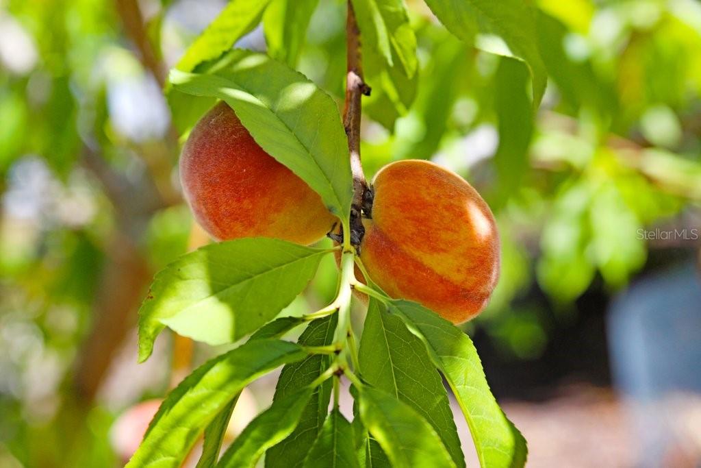 3440 CRENSHAW LAKE RD