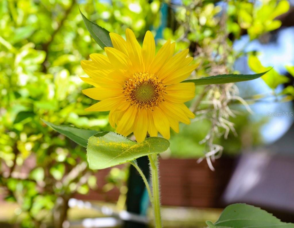 3440 CRENSHAW LAKE RD