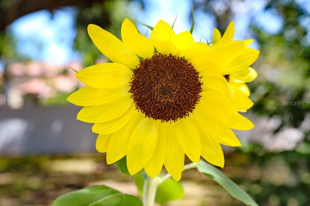 3440 CRENSHAW LAKE RD