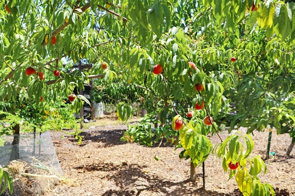 3440 CRENSHAW LAKE RD