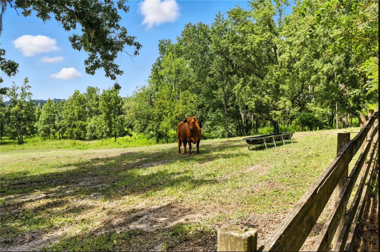 36641 BLANTON RD