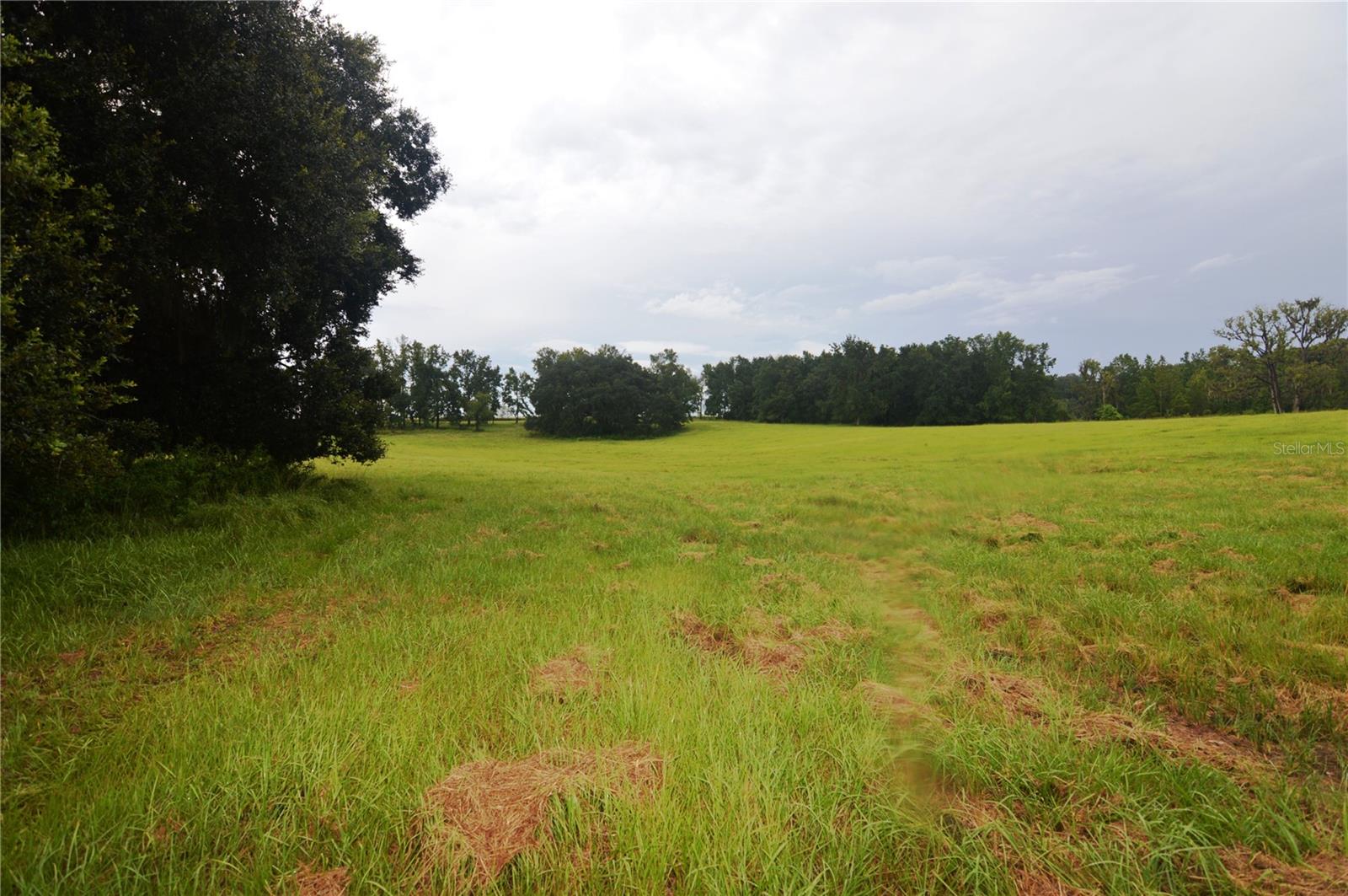 36641 BLANTON RD