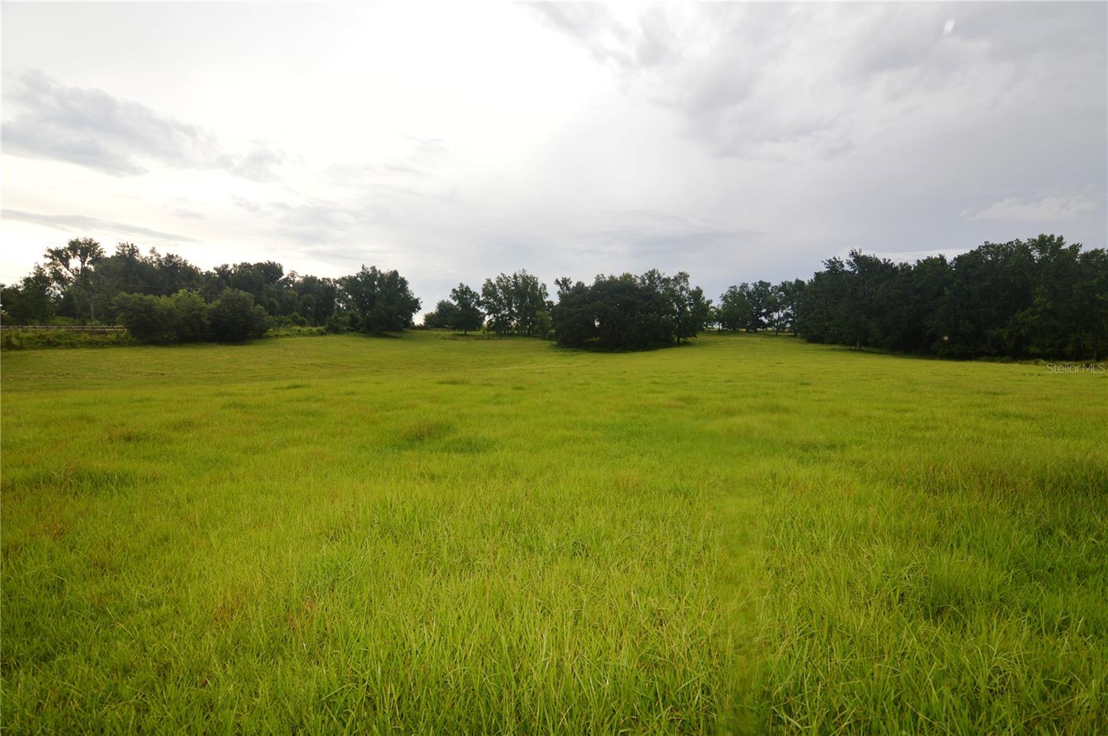 36641 BLANTON RD