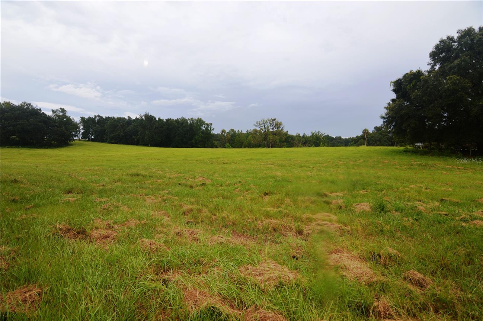 36641 BLANTON RD