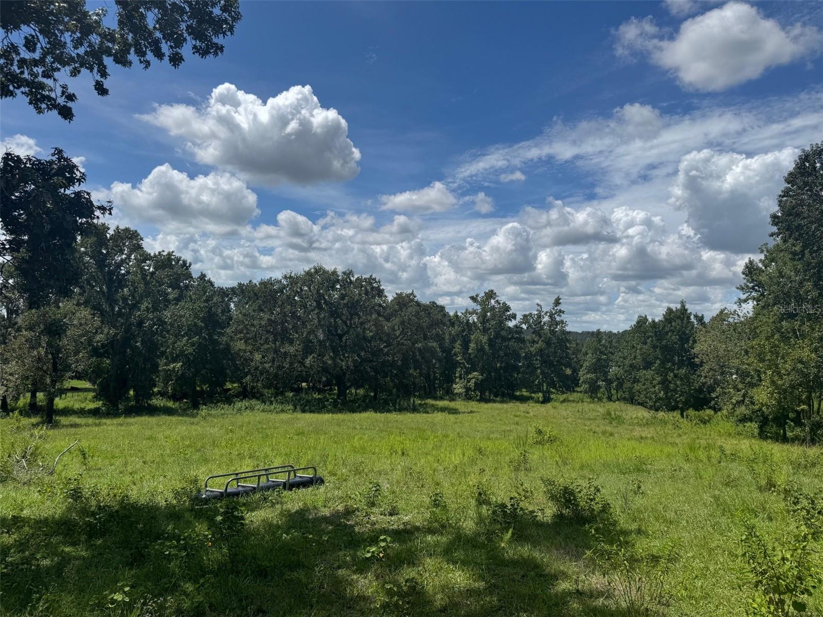 36641 BLANTON RD