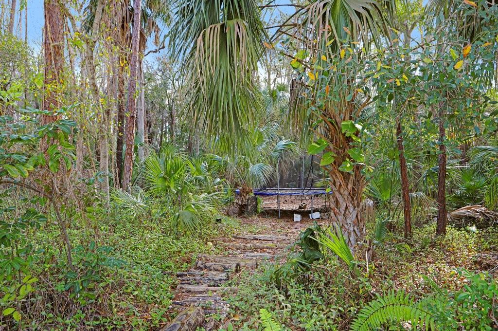 12508 TWIN BRANCH ACRES RD