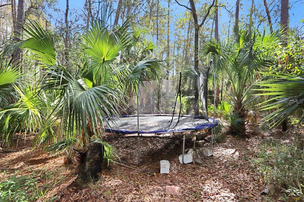 12508 TWIN BRANCH ACRES RD