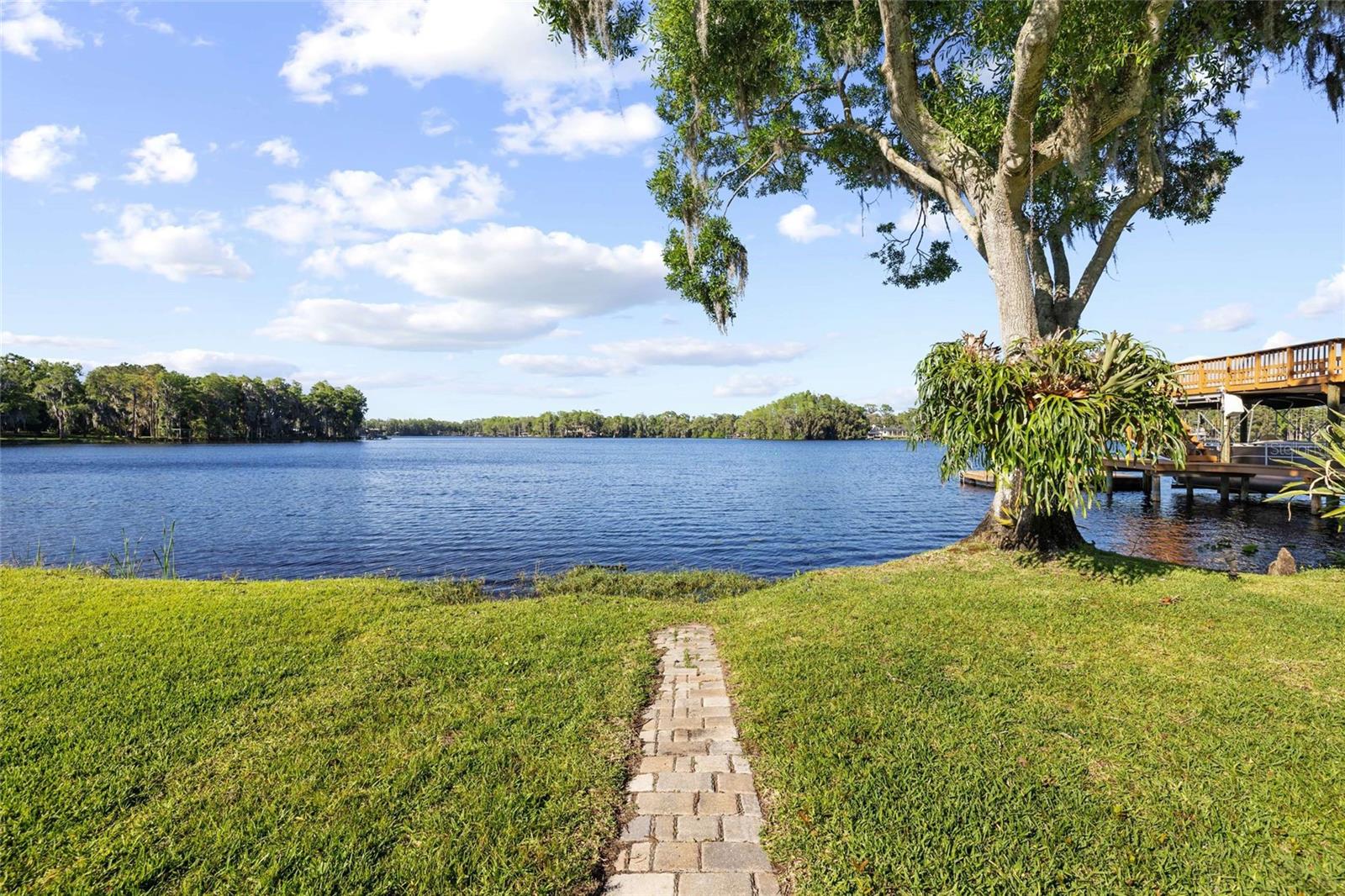 9901 MENANDER WOOD CT