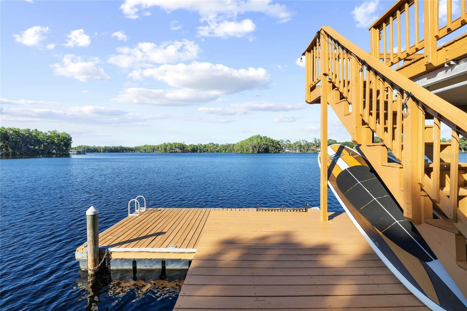 9901 MENANDER WOOD CT