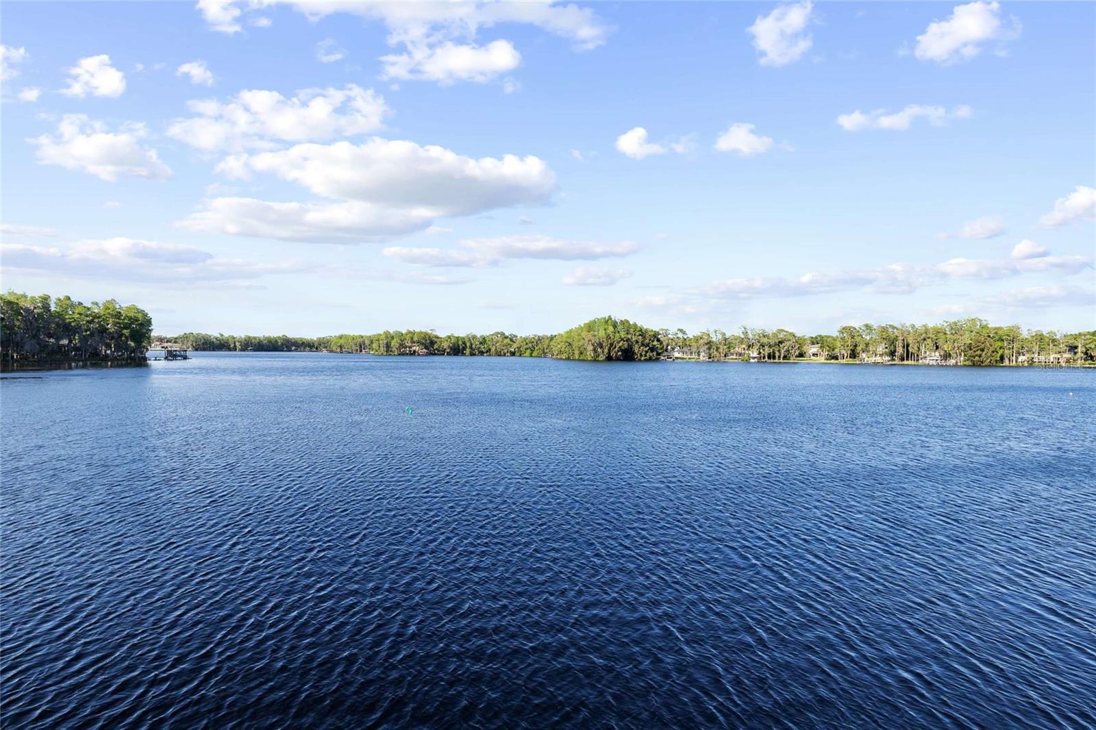 9901 MENANDER WOOD CT