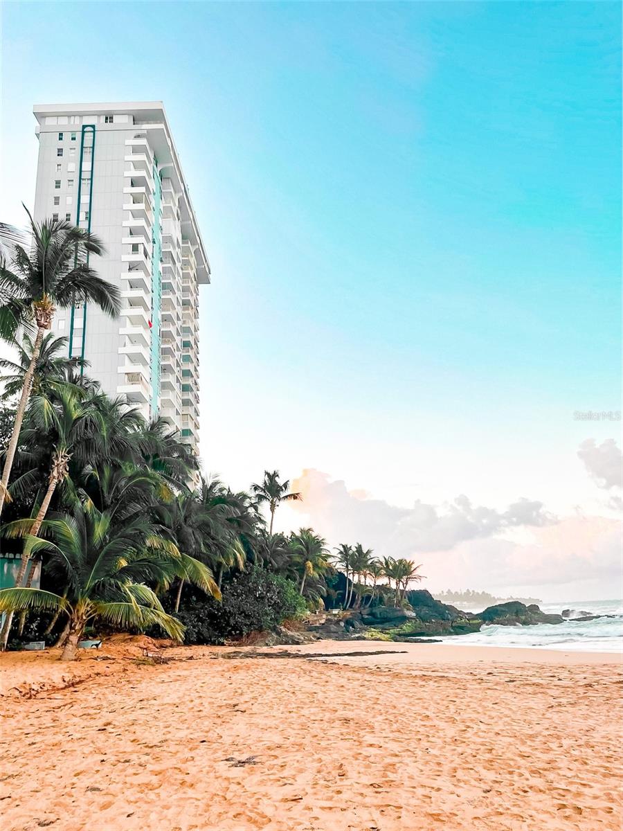 49 ROSENDO M CINTRON #16H