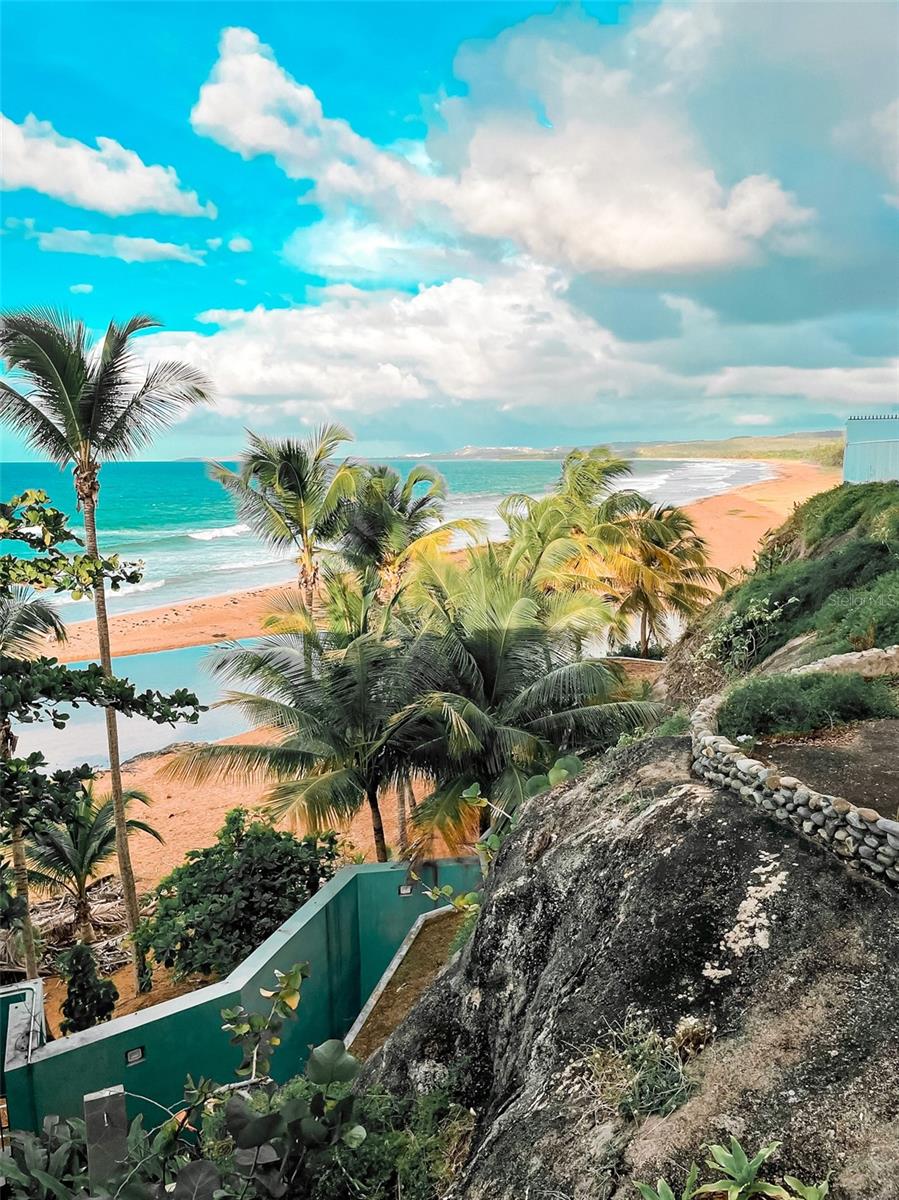 49 ROSENDO M CINTRON #16H