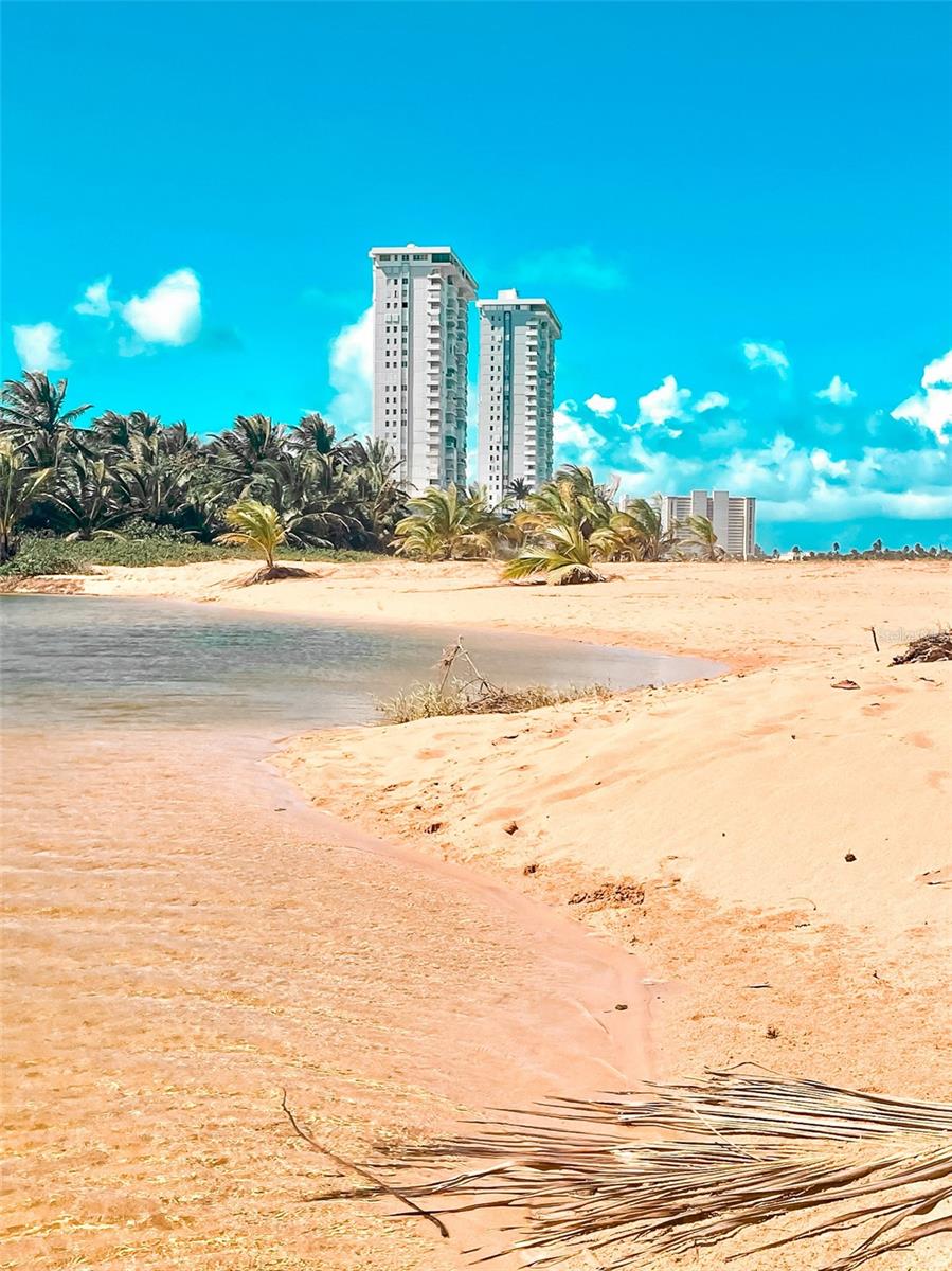 49 ROSENDO M CINTRON #16H