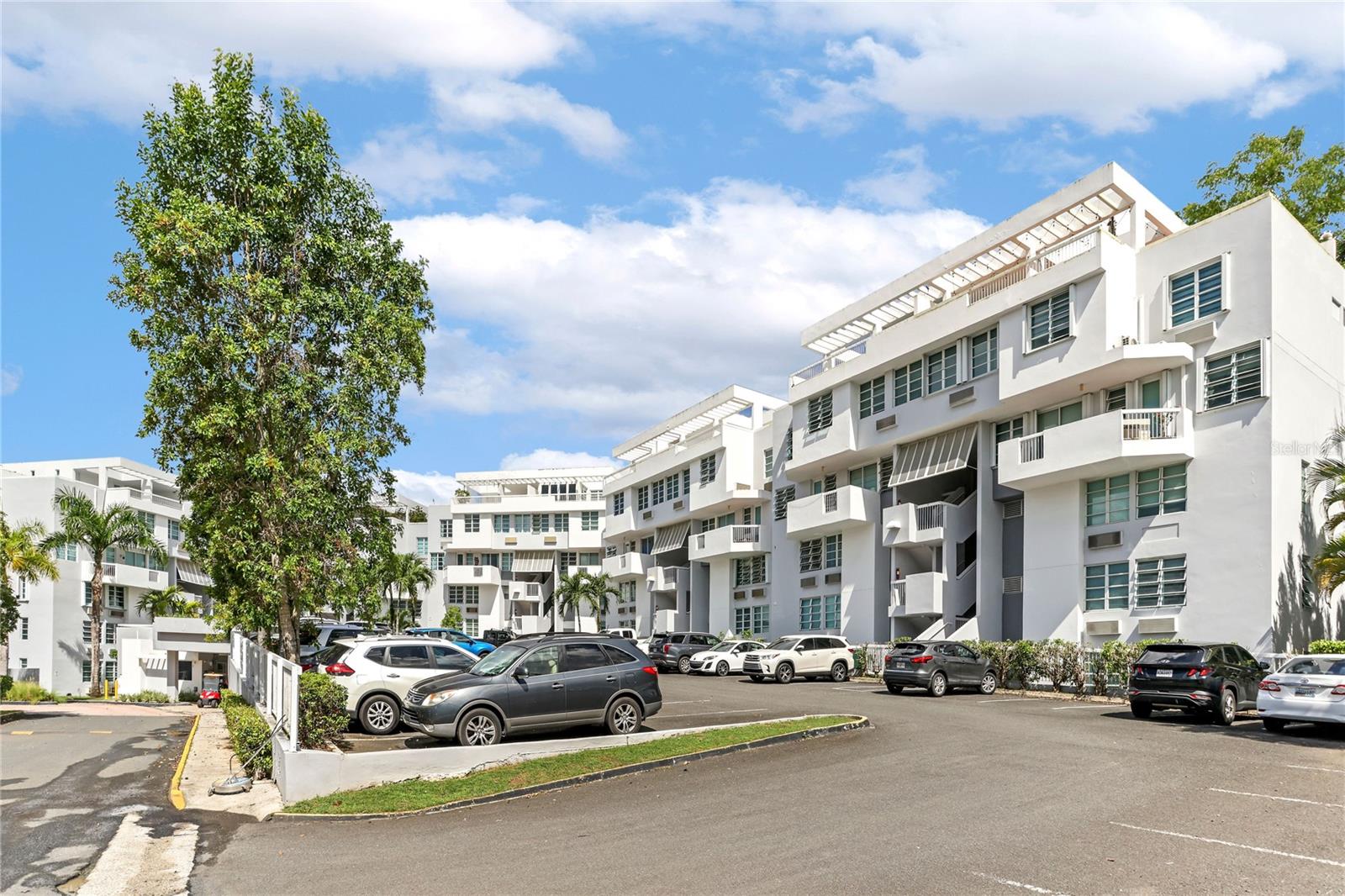 29 BASILIO CATALA #1307