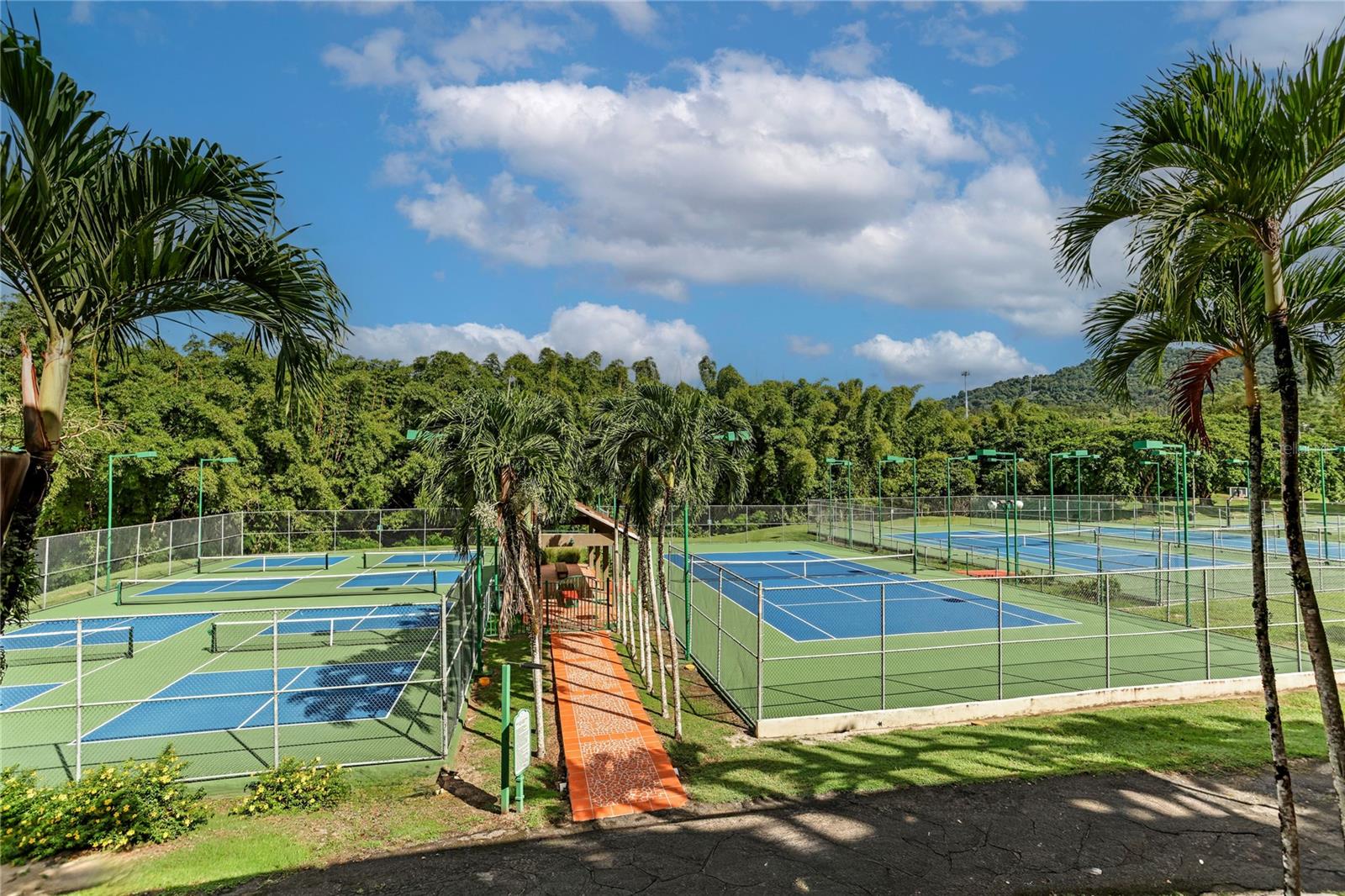 133 CAMINO LOS CAOBOS