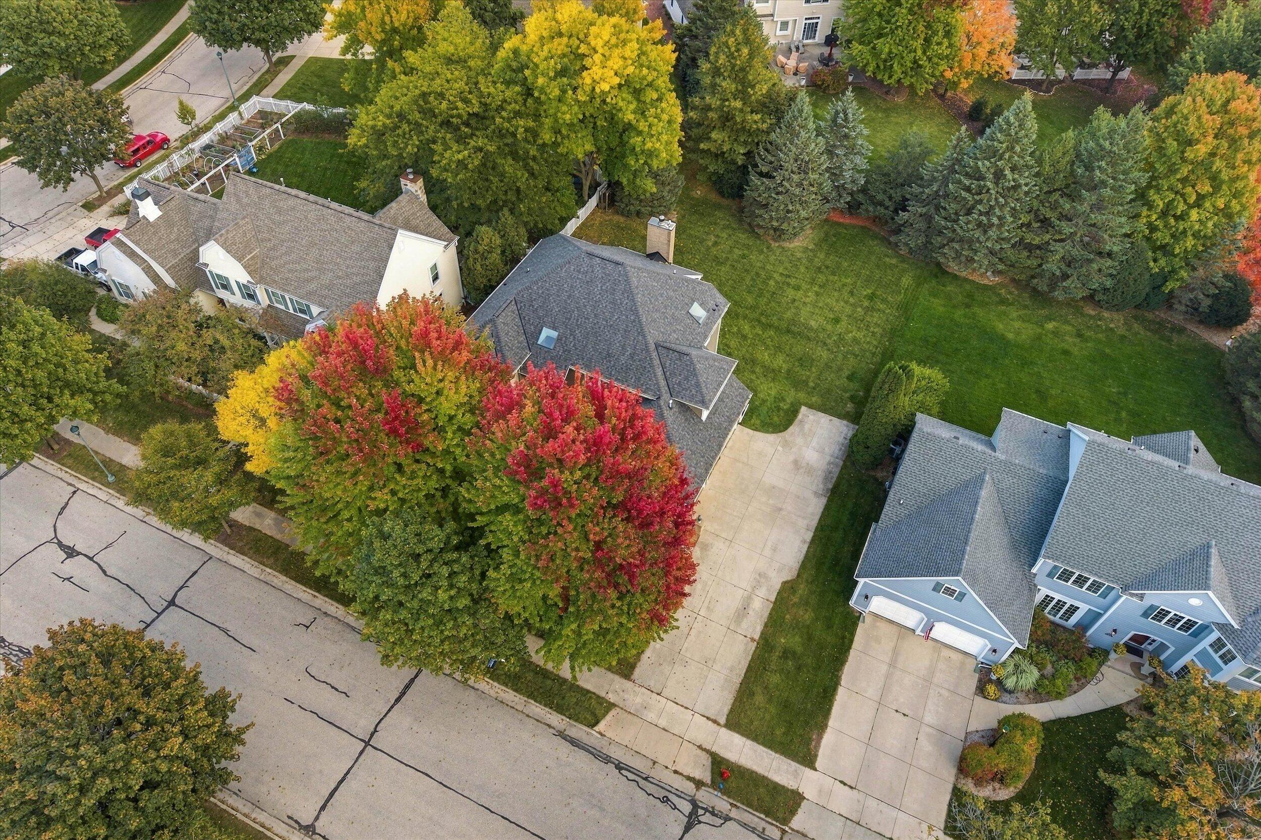 1264 Creekside Ln
